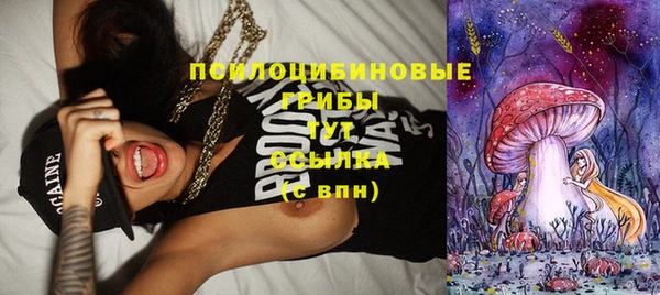 стафф Абаза