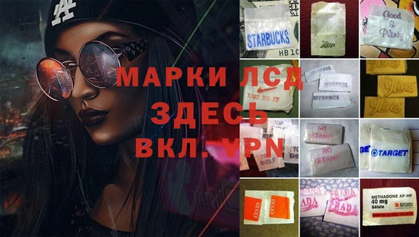 стафф Абаза