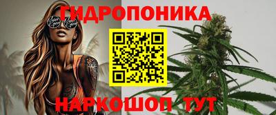 скорость Бийск