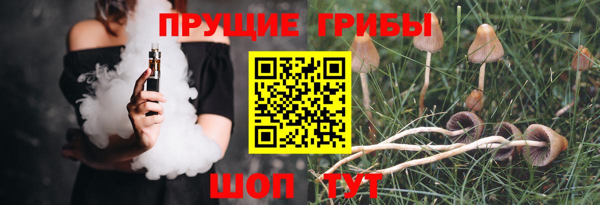 Галлюциногенные грибы GOLDEN TEACHER Балаково