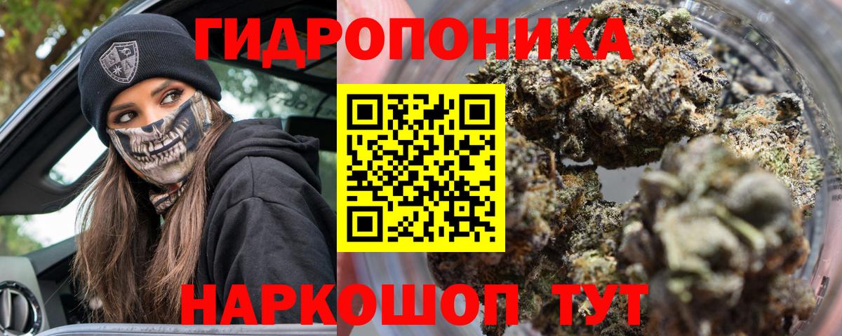 Каннабис конопля Балаково